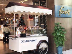 Ice Cart 10-3 Smart Gelato Solutions